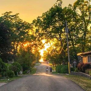 Meet your Posher, Dan